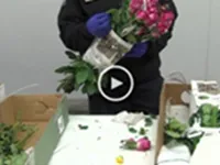 Video: CBP Flower Inspection B-roll