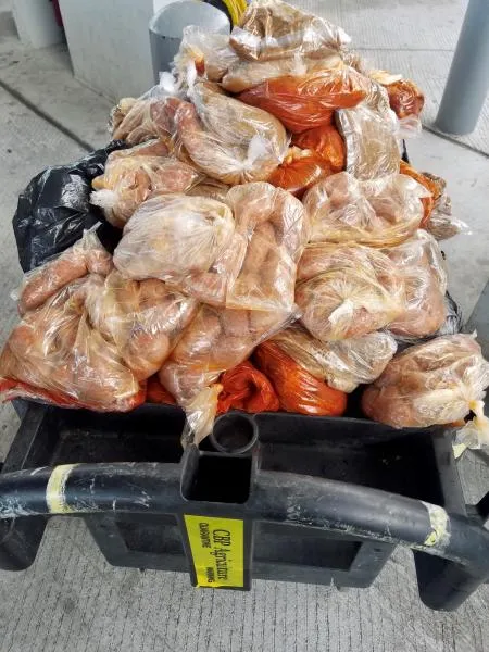 Packages containing 201 pounds of prohibited pork seized by CBP agriculture specialists at Laredo Port of Entry
