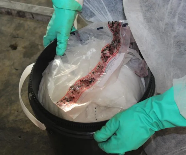 Container filled with nearly 31 pounds of methamphetamine seized by CBP officers at World Trade Bridge