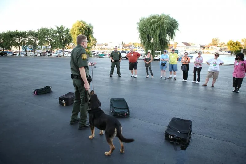 Border Patrol agent demonsrates capabilities of highly-trained canine.