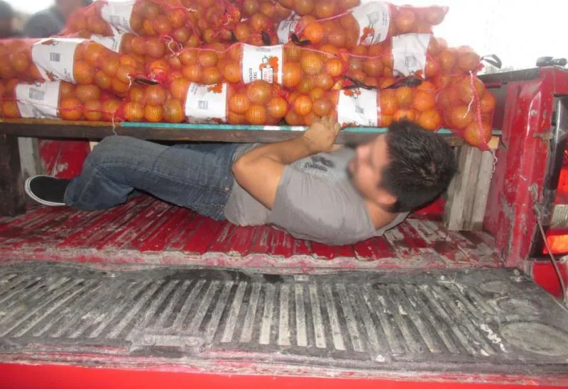 Subjects hidden in false compartment under load of oranges