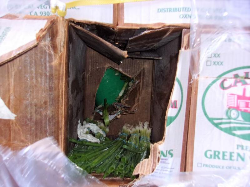 CBP officers extracted 40 wrapped packages of methamphetamine co-mingled with the green onions. 