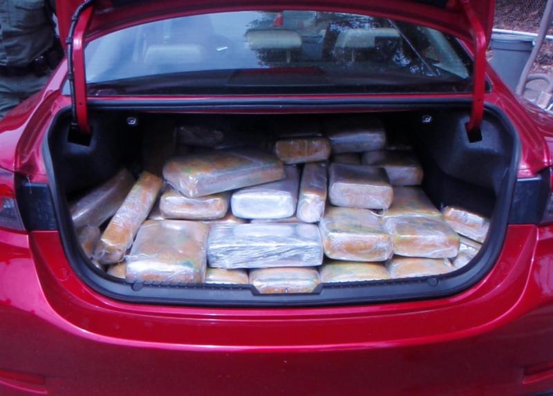 agents arrested a man who fled the I-5 checkpoint and had nearly 250 pounds of marijuana inside his car.