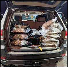 a CBP canine alerted agents to the back of a suspect vehicle, where they unwrapped packages of marijuana