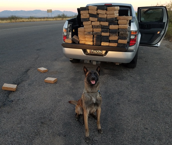 A Border Patrol canine alerted agents to a load of marijuana 