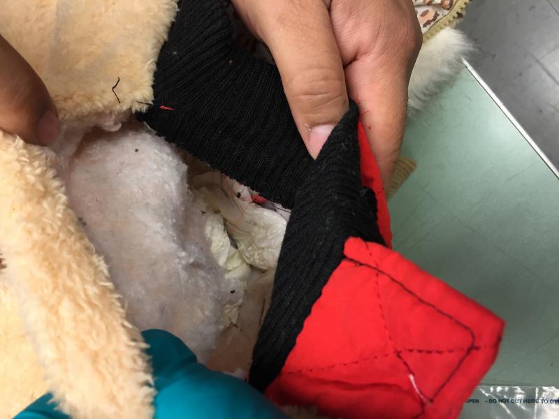 CBP officers found cocaine sewn in children's coats