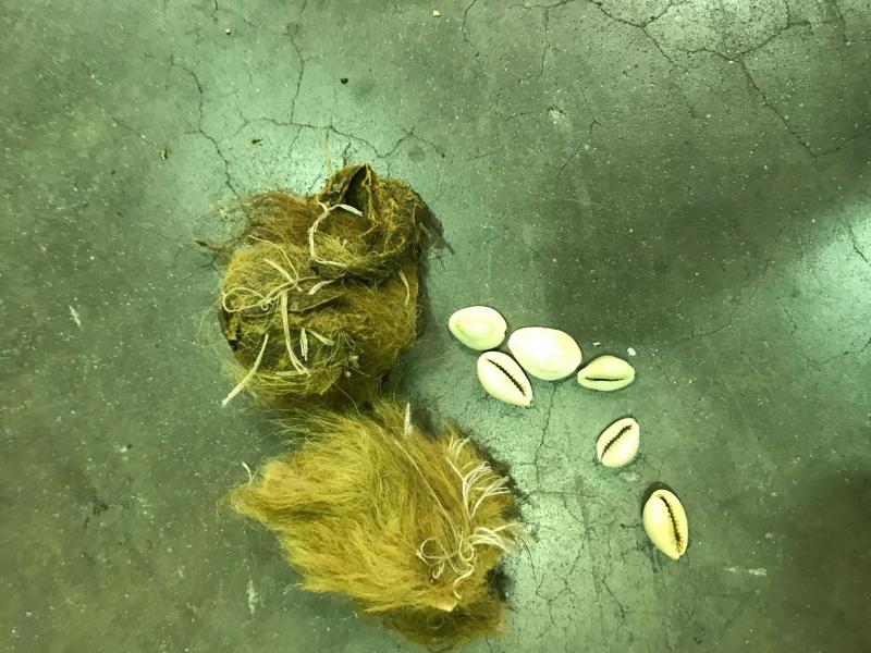 seized cowrie shells and unknown animal skins 