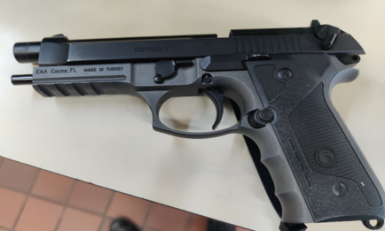 Gun seized at Blue Water Bridge 