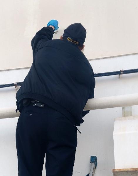 A Baltimore CBP agriculture scrapes a Japanese gypsy moth egg mass off the ship’s bulkhead December 25, 2019.