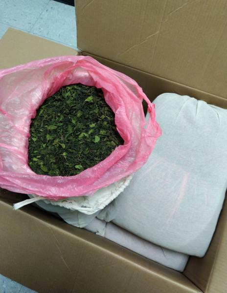 Customs and Border Protection officers at Washington Dulles International Airport seized a combined 1,138 pounds of khat from Ethiopia on April Fool’s day, April 1, 2020.