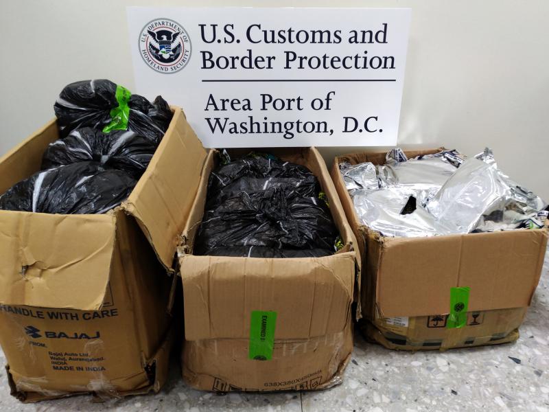 Customs and Border Protection officers seized 147 pounds of illicit Nigerian khat March 21, 2020, that was destined to an address in Washington, D.C.