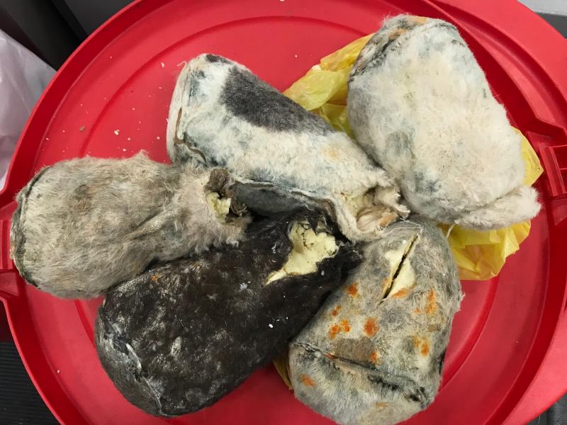 CBP agriculture detector dog Potter alerted to cheese-filled animal skins in a passenger's baggage at Philadelphia International Airport November 16, 2019.