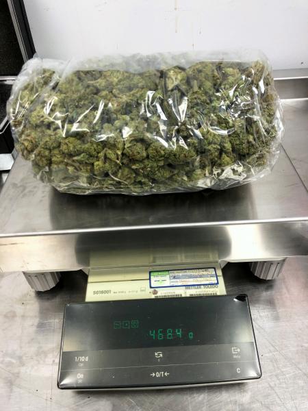 Customs and Border Protection narcotics detector dog Dasha detected nearly 500 grams of marijuana in a mail parcel destined to Barcelona, Spain January 7, 2019.