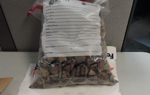 Opium pods seized at the Syracuse, N.Y. Airport.