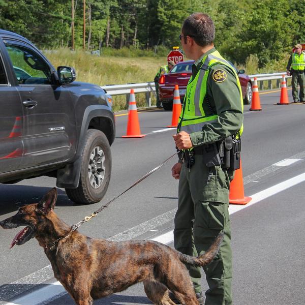 Border Patrol K9 unit working a checkpoint in Swanton Sector. Date unknown.