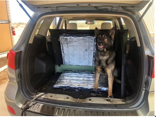 A Border Patrol K-9 discovered 63 pounds of Meth.