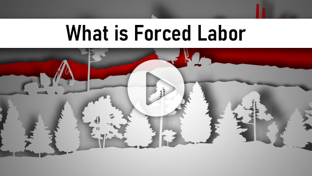 View What is Forced Labor Video